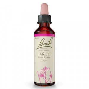 Produktbild von BACHBLÜTEN Larch Tropfen