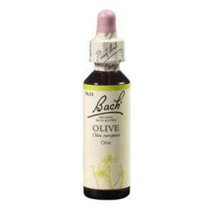 Produktbild von BACHBLÜTEN Olive Tropfen