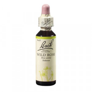 Produktbild von BACHBLÜTEN Wild Rose Tropfen